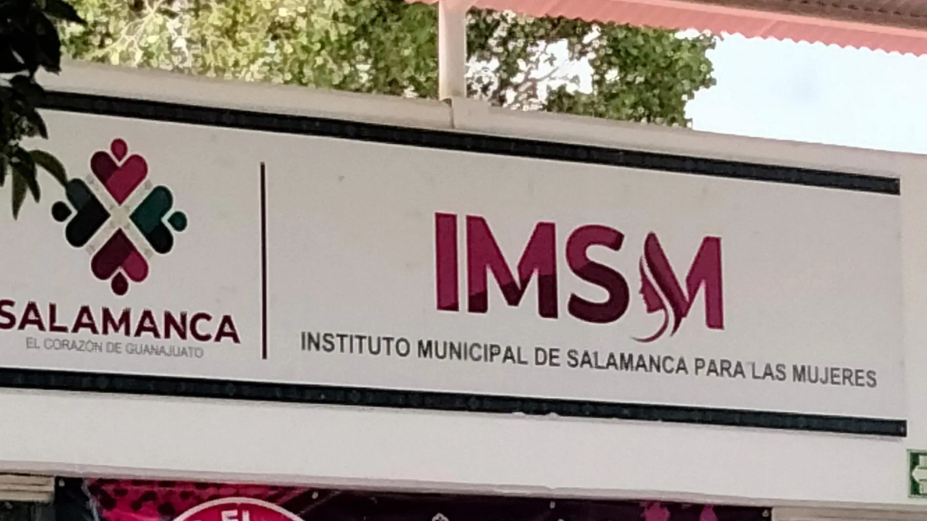 IMSM (2)